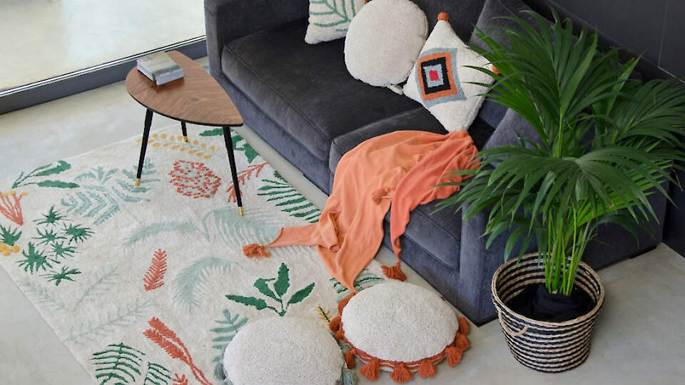 DG Home