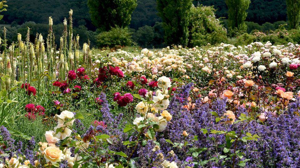 Garden.ee | Paneme aiad särama!